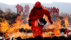 119，生日快乐！